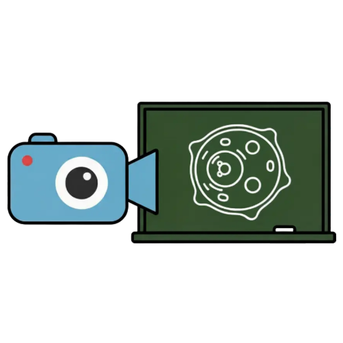 Video Portal