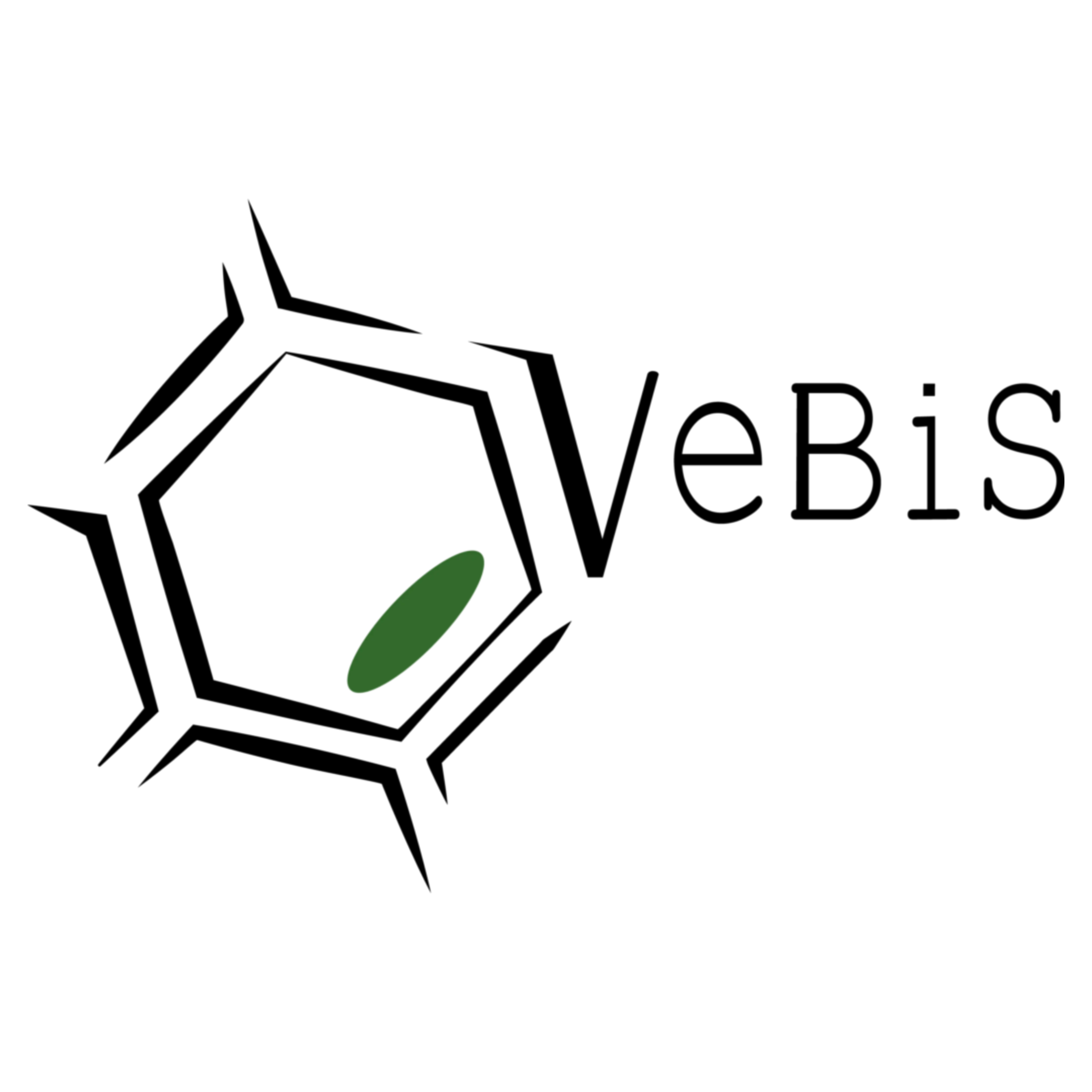 VeBiS